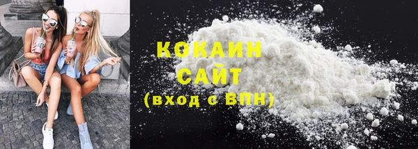 спайс Грязовец