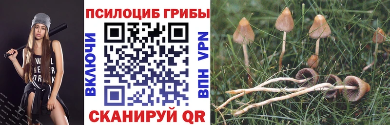 Галлюциногенные грибы ЛСД  Печоры 